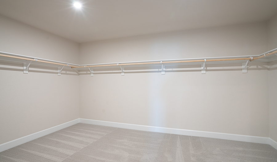 Closet of the Ammolite floor plan