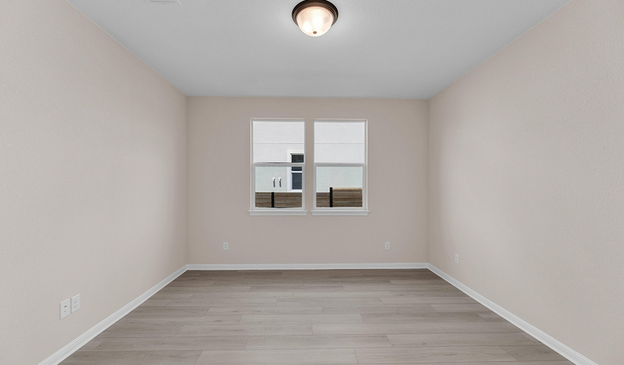 Study of the Ammolite floor plan