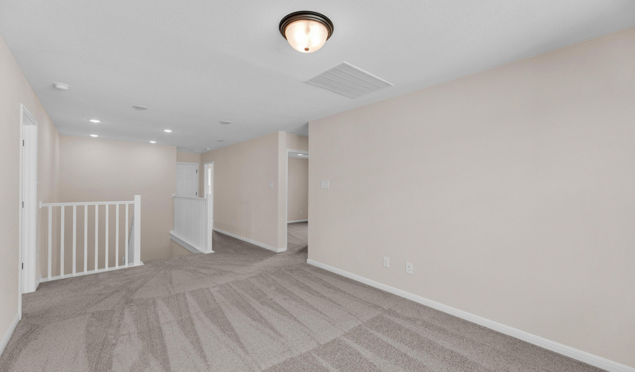 Loft of the Ammolite floor plan