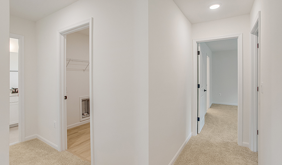 Hallway of the Citrine floor plan