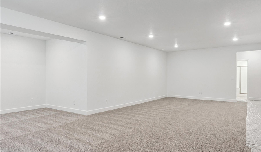 Basement of the Delany floor plan