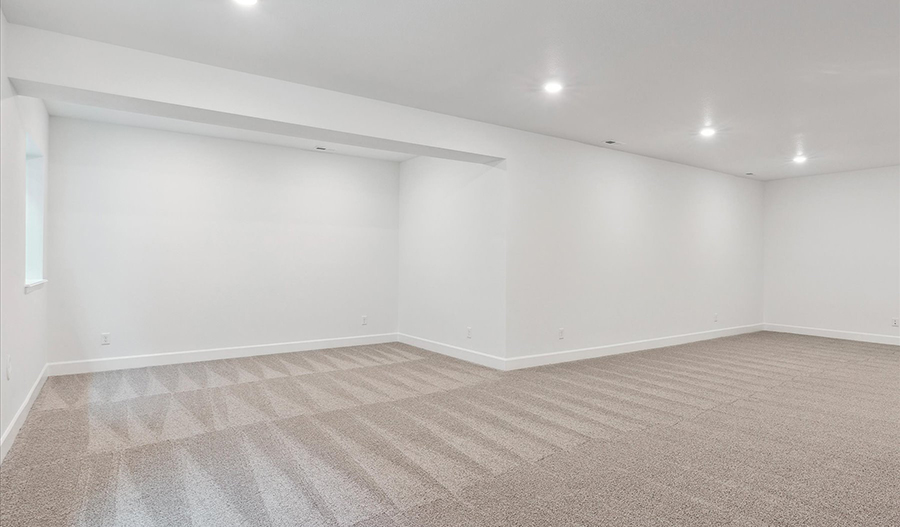 Basement of the Delany floor plan