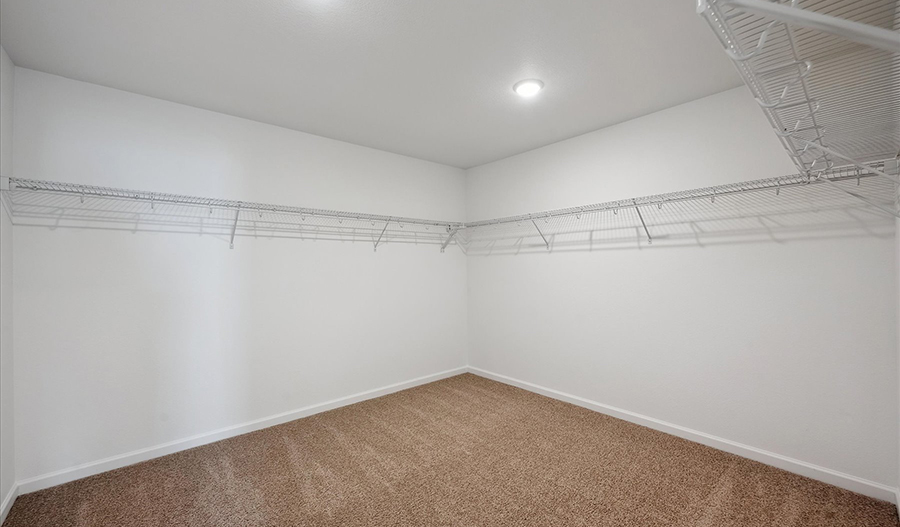 Closet of the Ammolite floor plan