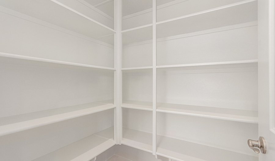 Pantry of the Dominic floor plan