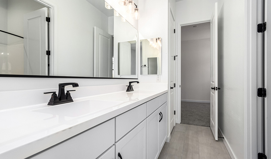 Bathroom of the Darius floor plan
