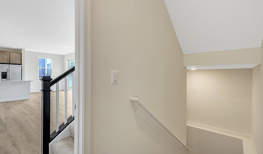 Stairs of the Coral floor plan