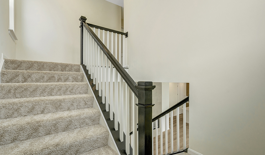 Stairs of the Coral floor plan