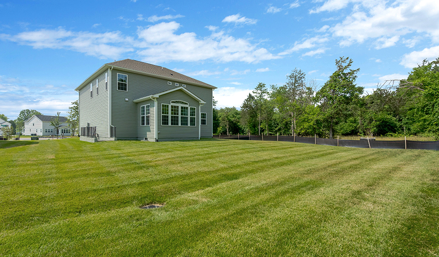 Rear Exterior of the Coronado floor plan