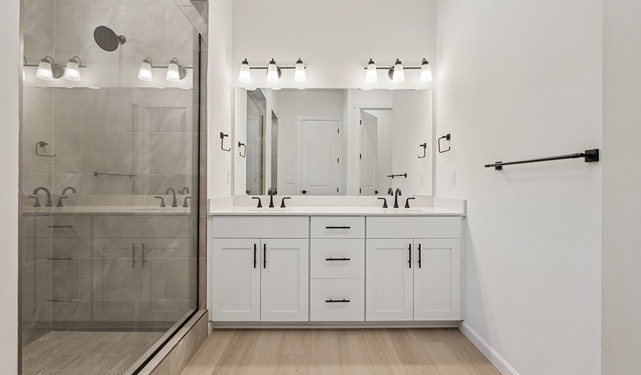Bathroom of the Abbot floor plan