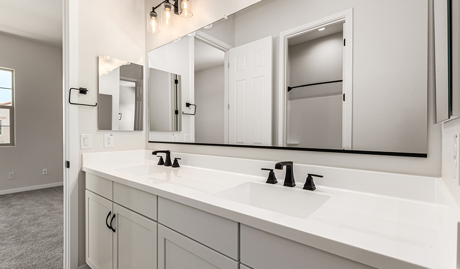 Bathroom of the Darius floor plan