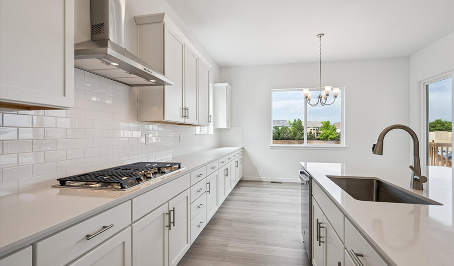 Kitchen of the Delaney floor plan