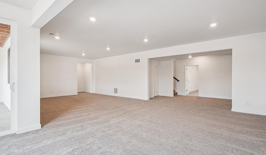 Recreation Room of the Delaney floor plan