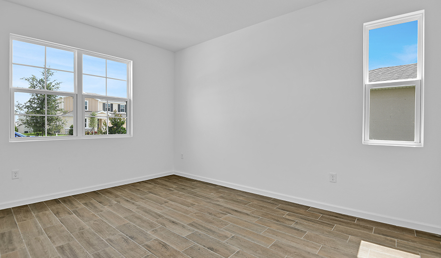 Study of the Ammolite floor plan