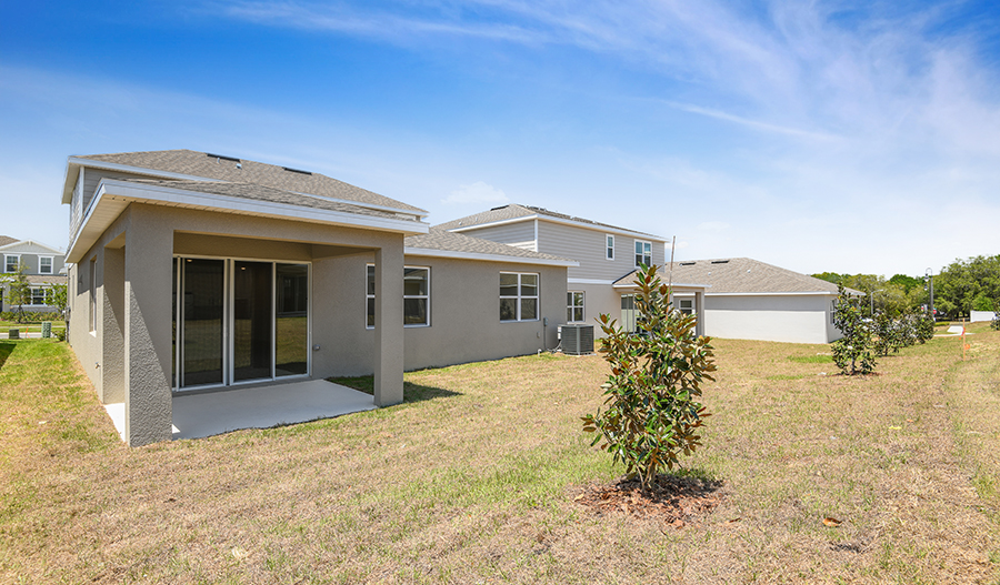 Rear Exterior of the Elderberry floor plan