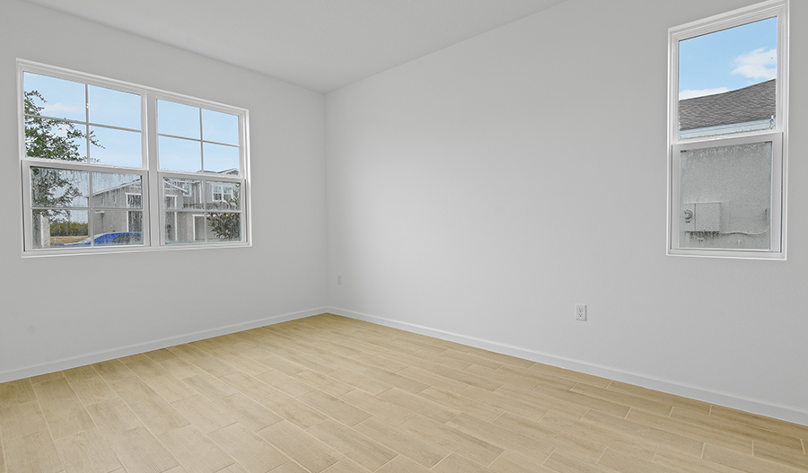 Study of the Ammolite floor plan