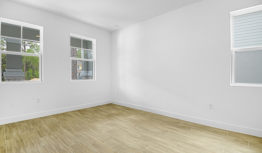 Study of the Ammolite floor plan