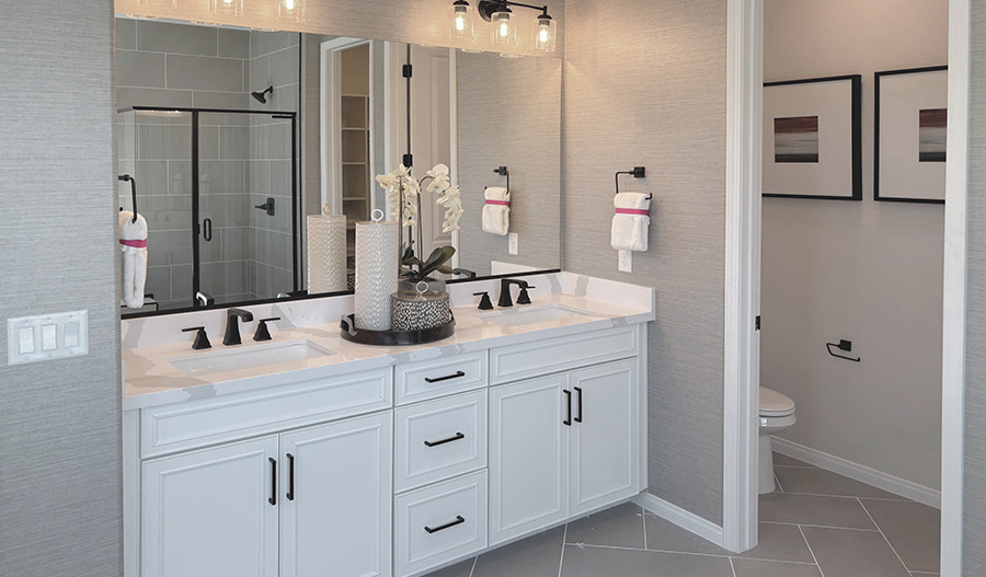 Bathroom of the Birch floor plan