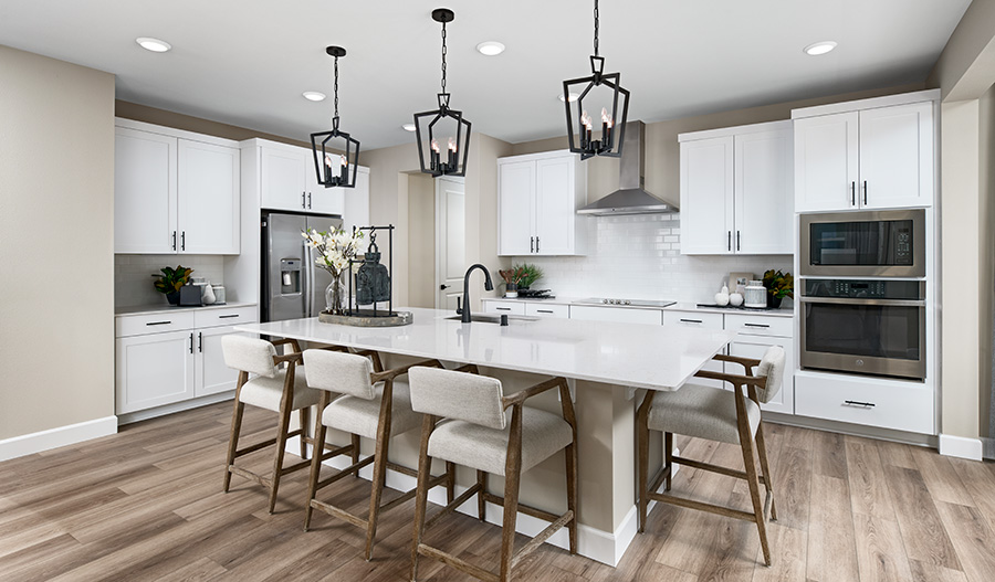 Kitchen of the Coronado floor plan