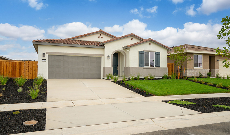 1131 Camomile Drive