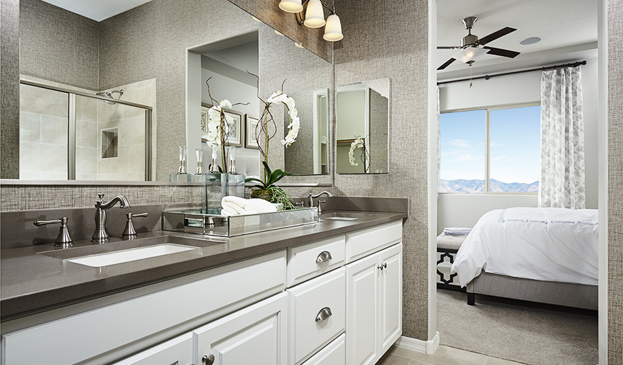 New Houses at Villas at Montana Vista Mesa Community Richmond