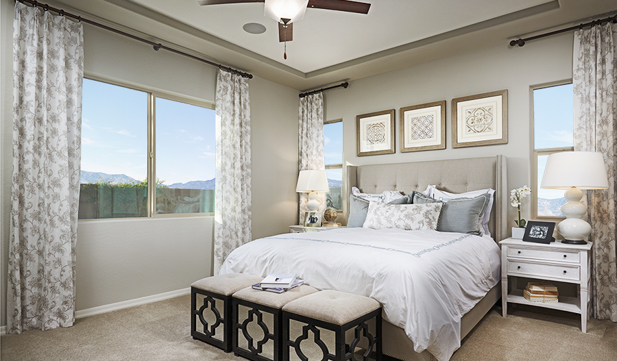 New Houses at Villas at Montana Vista Mesa Community Richmond