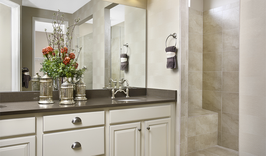 Primary Bathroom Owner's bath in the Dillon II floor plan