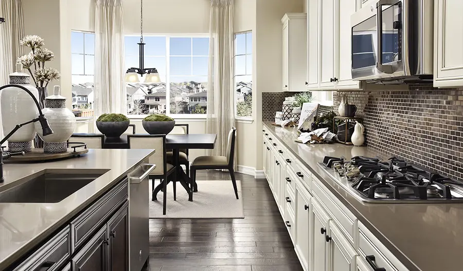 The Delaney Kitchen of the Delaney floor plan