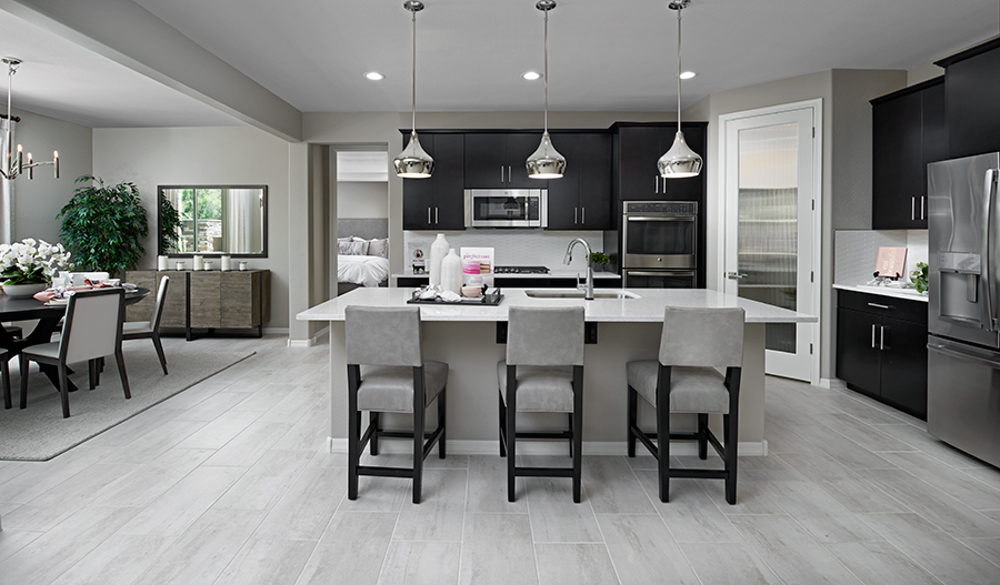 Darius Floor Plan At Amelia Walk Richmond American Homes