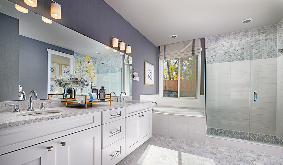 Owner's bathroom of the Hastings plan 