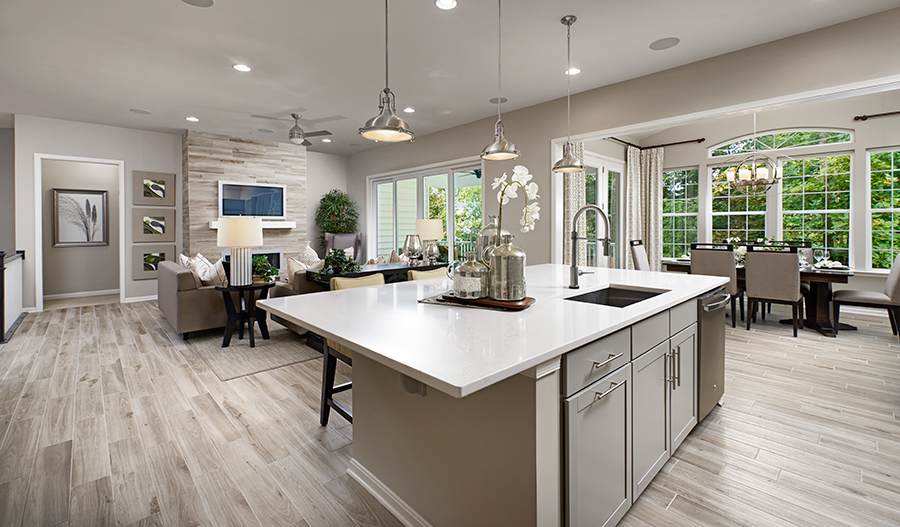 Great room of the Decker plan in Twin Lakes Overlook