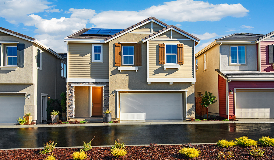 Juniper at University District Rohnert Park Community Richmond