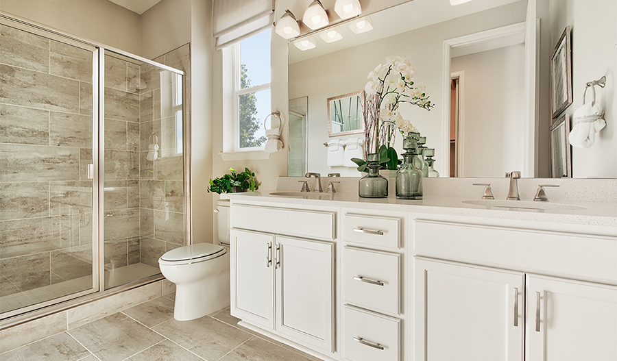 Owner's bathroom of the Alexandrite in DEN