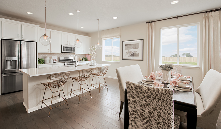 Kitchen of the Alexandrite floor plan in DEN
