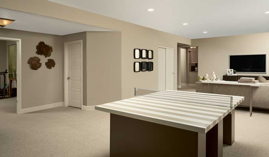 The Daniel Basement of the Daniel plan in Parker