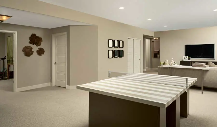 The Daniel Basement of the Daniel plan in Parker