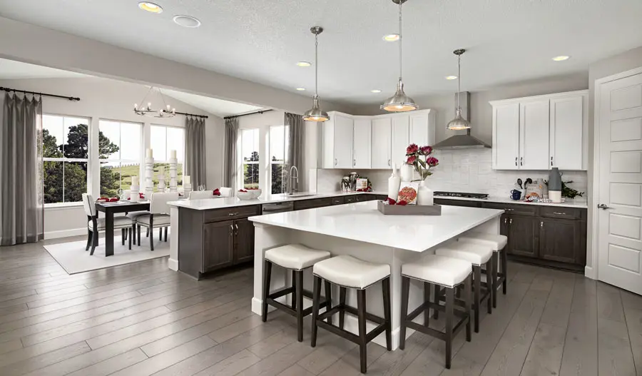 The Seth Kitchen of the Seth plan in Denver
