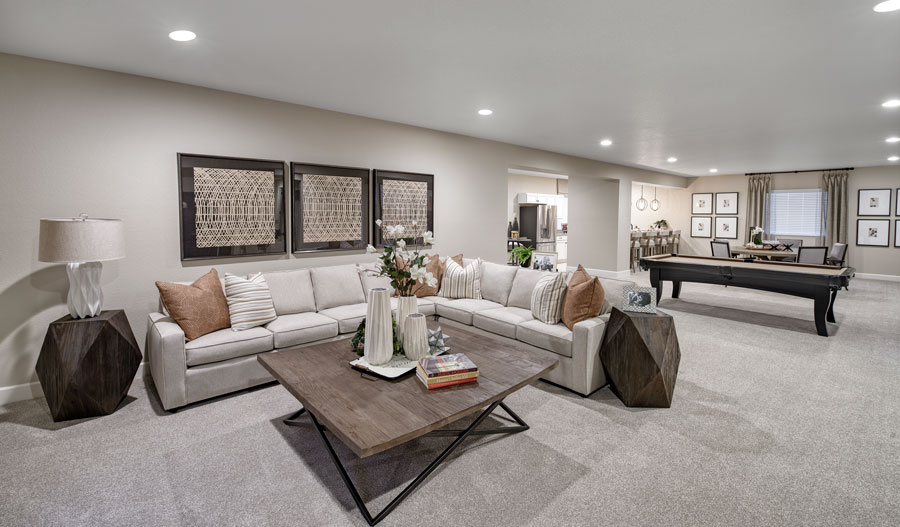 Basement Basement of the Darius plan in Denver