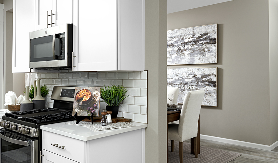 Kitchen/Dining Room of the Amethyst