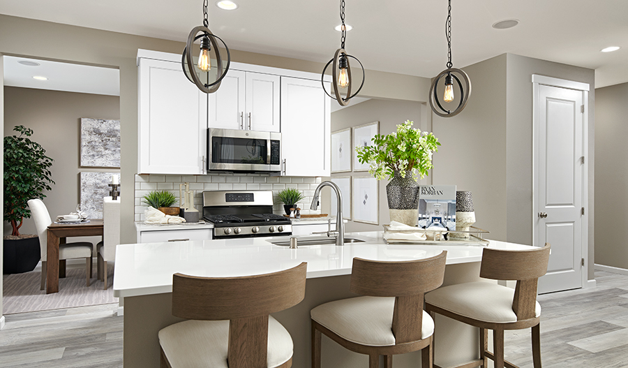 Kitchen of the Amethyst