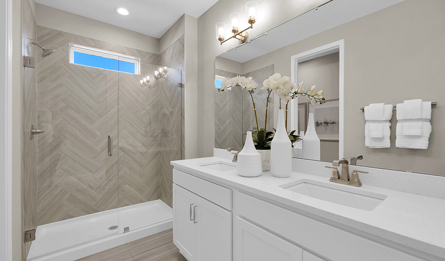 Owner's Bath of the Beech