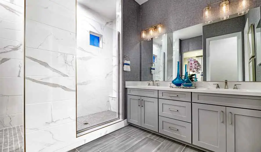Owner's Bathroom of the darius