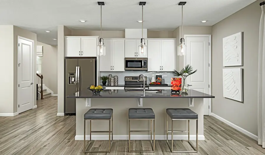 Kitchen of the Palm plan
