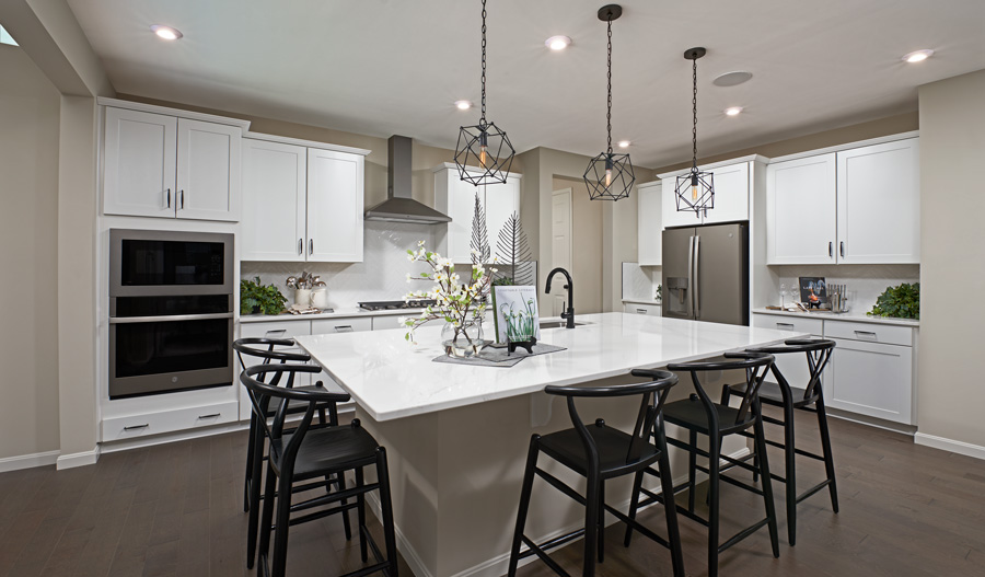 The Coronado Kitchen of the Coronado plan