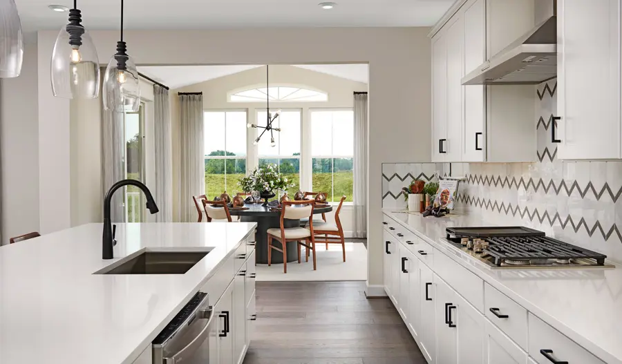 Kitchen detail of the Donovan plan