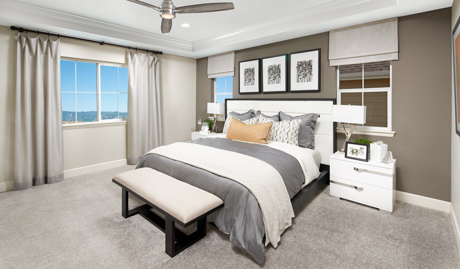 The Seth Owner's Bedroom of the Seth plan