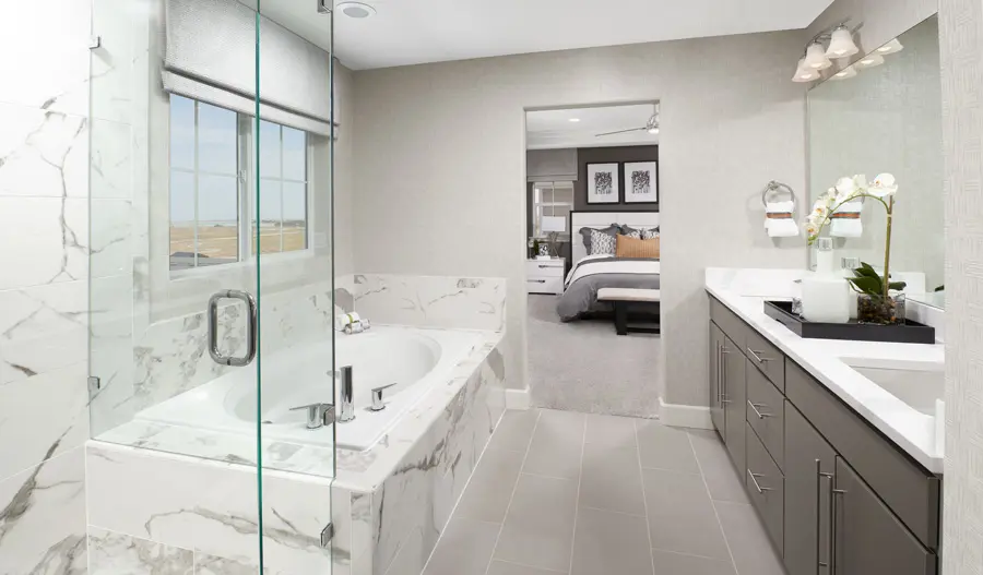 Owner's Bathroom of the Seth plan