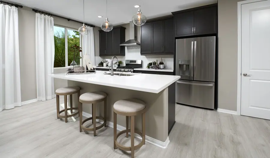 Kitchen of the Amethyst plan