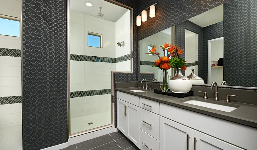 Owner's Bathroom of the Raleigh plan