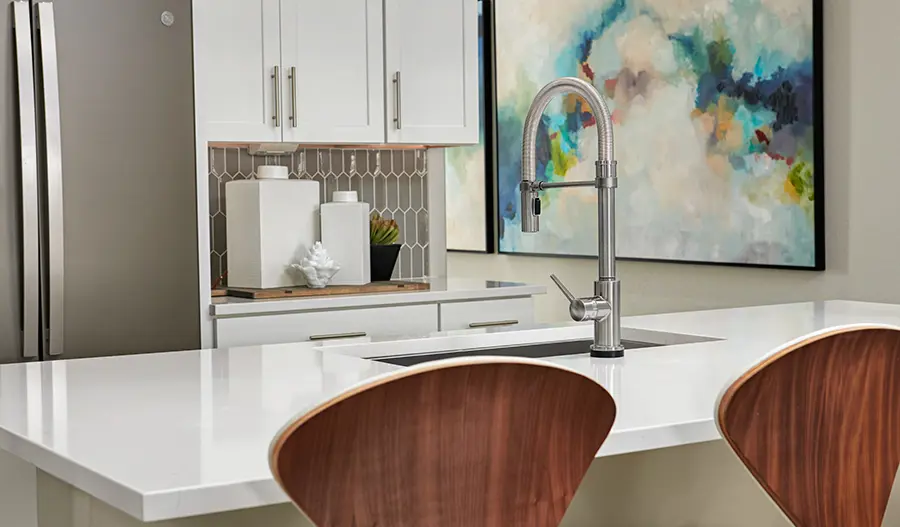 Kitchen Detail Kitchen of the Raleigh plan
