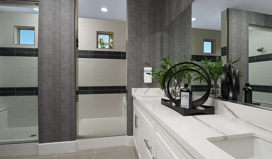 The Delaney Owner's Bathroom of the Delaney plan